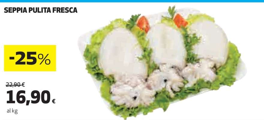 SEPPIA PULITA FRESCA