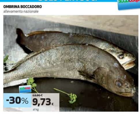 OMBRINA BOCCADORO