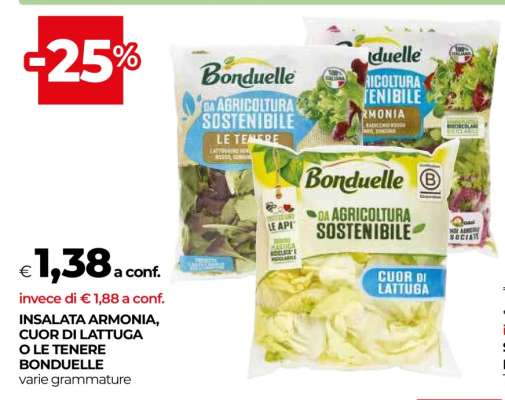 INSALATA ARMONIA, CUOR DI LATTUGA O LE TENERE BONDUELLE