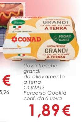 Uova fresche grandi
