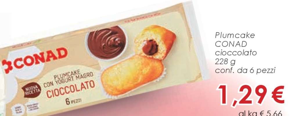 PLUMCAKE CONAD cioccolato