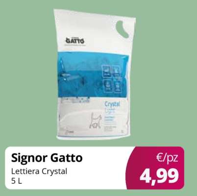 Signor Gatto