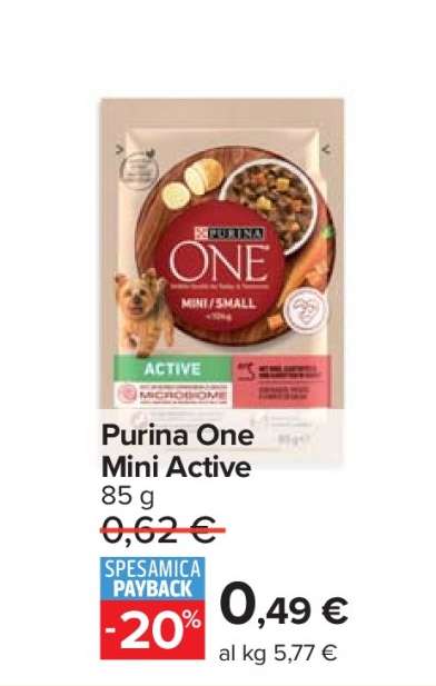 Purina One Mini Active