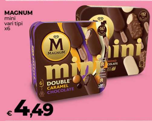 Magnum mini vari tipi x6