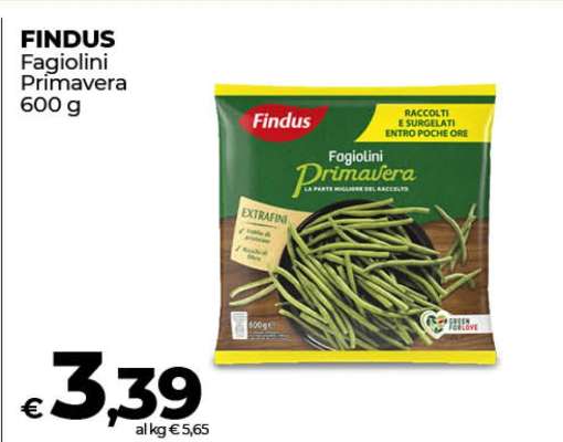 FINDUS Fagiolini Primavera 600 g