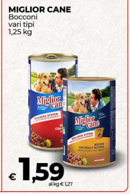 Miglior Cane
