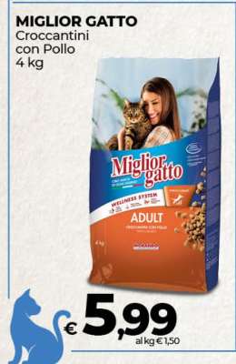 Miglior Gatto