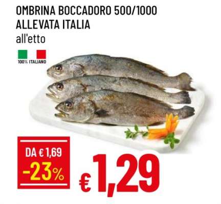 OMBRINA BOCCADORO 500/1000 ALLEVATA ITALIA