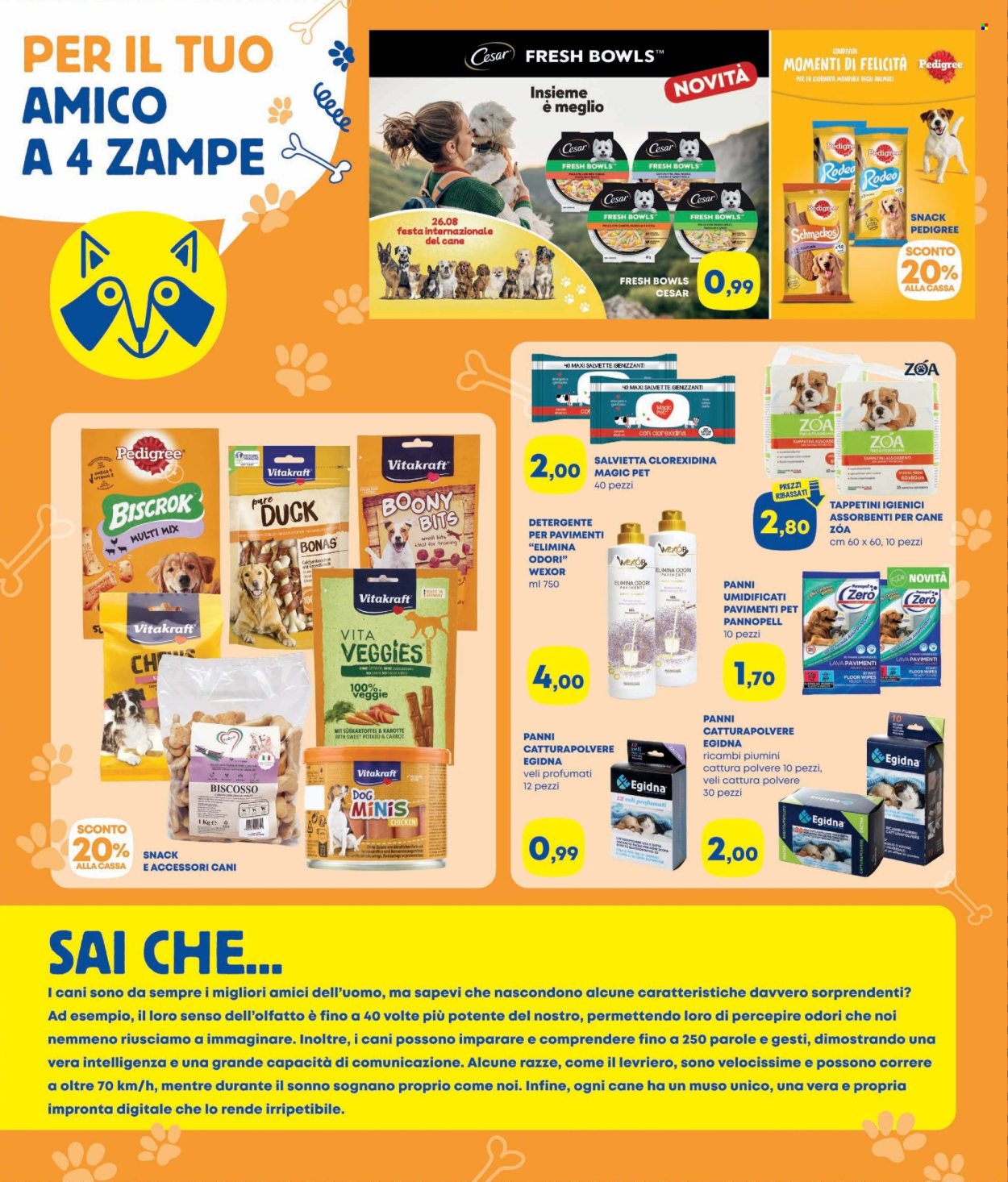 Volantino Panorama - 7/8/2025 - 10/9/2025. Pagina 8