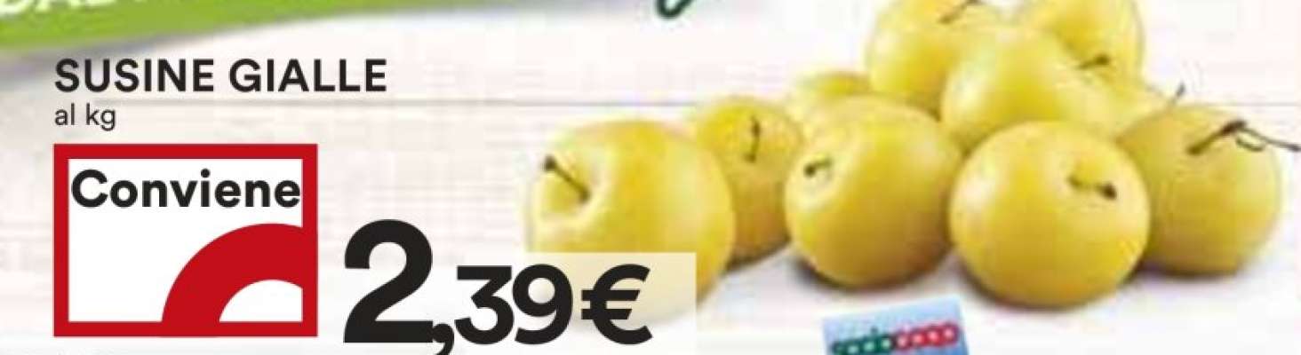 SUSINE GIALLE