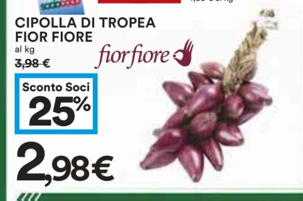 CIPOLLA DI TROPEA FIOR FIORE