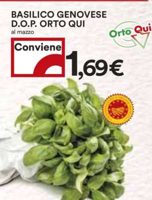 BASILICO GENOVESE D.O.P. ORTO QUI