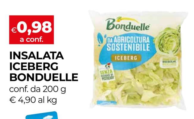 Insalata Iceberg Bonduelle