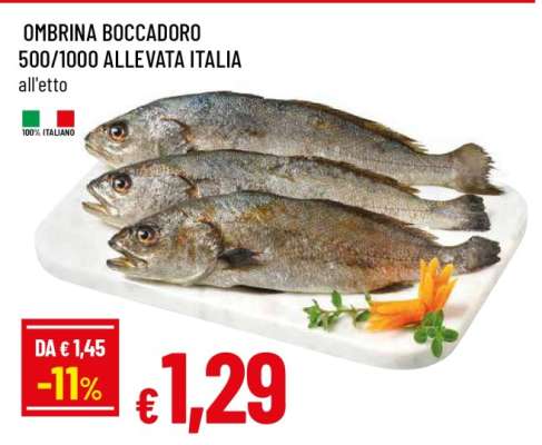 OMBRINA BOCCADORO 500/1000 ALLEVATA ITALIA