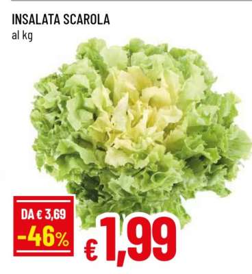 INSALATA SCAROLA