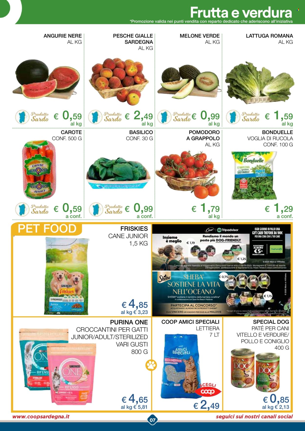 Volantino Coop - 11/8/2025 - 17/8/2025. Pagina 9