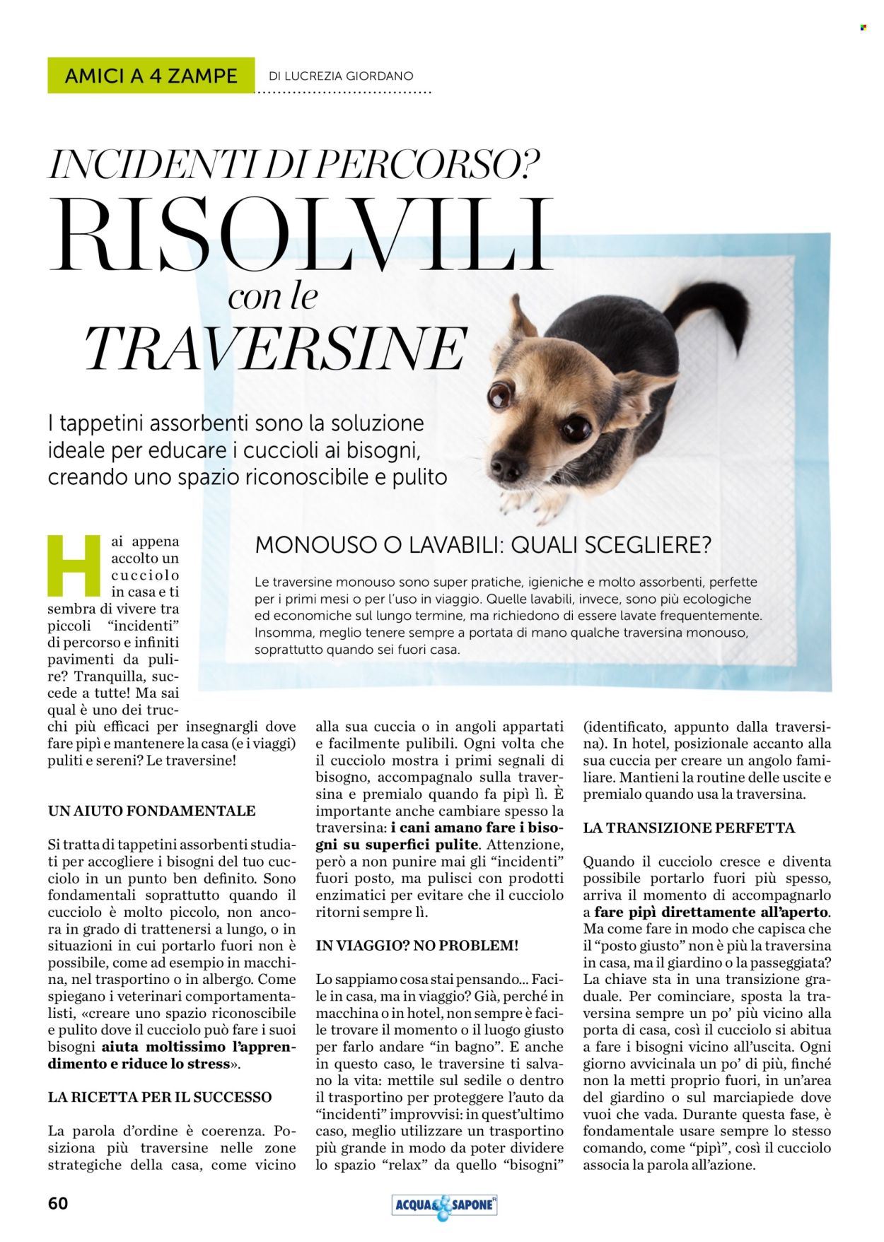 Volantino Acqua & Sapone - 1/8/2025 - 31/8/2025. Pagina 60