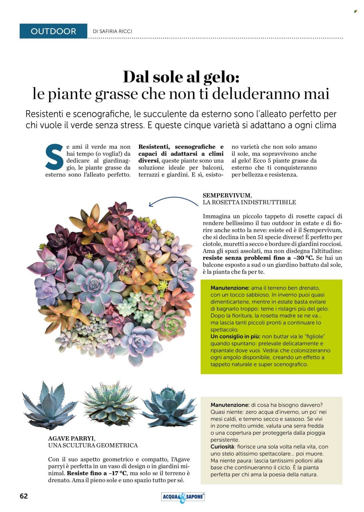 Volantino Acqua & Sapone - 1/8/2025 - 31/8/2025. Pagina 62