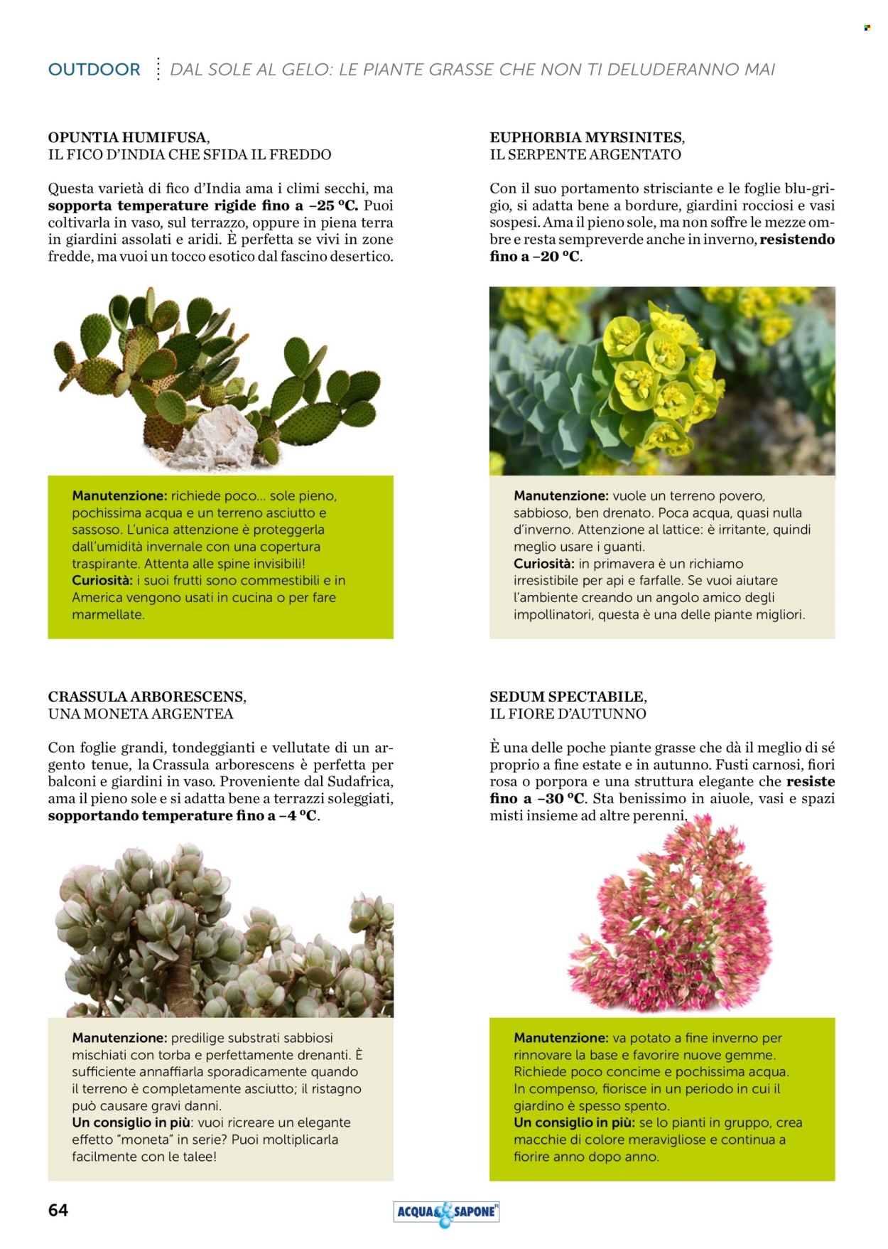 Volantino Acqua & Sapone - 1/8/2025 - 31/8/2025. Pagina 64
