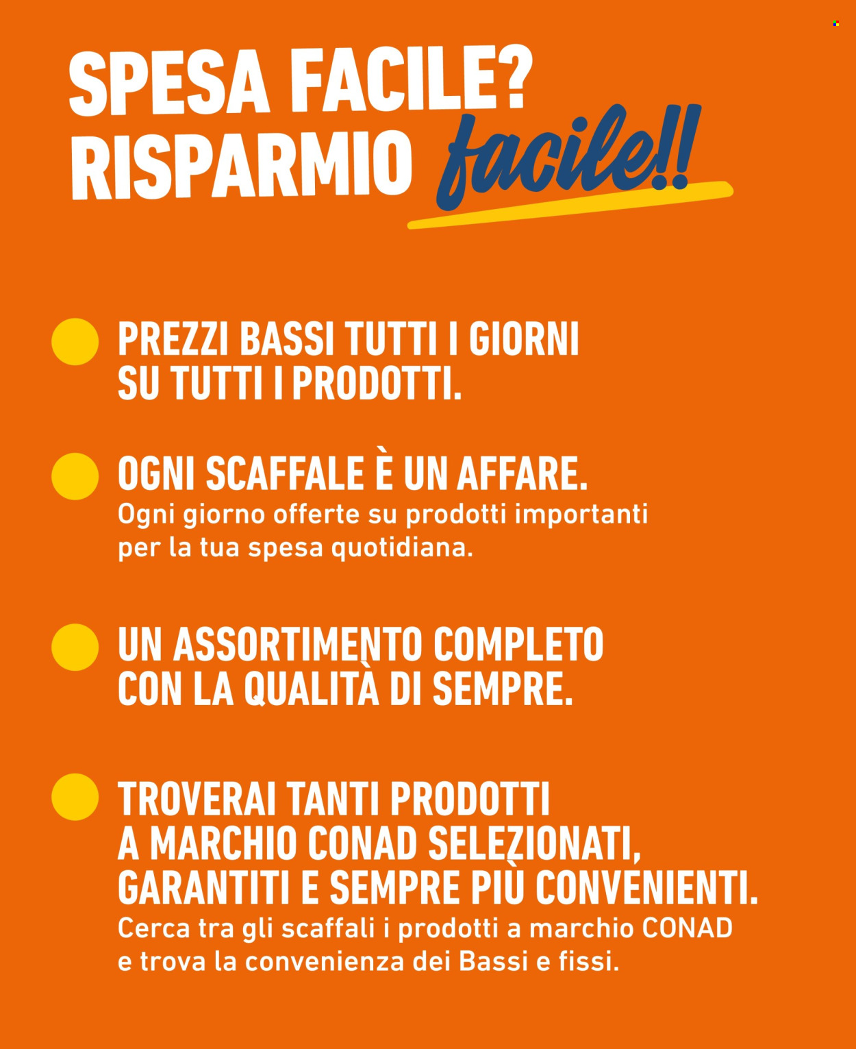 Volantino Conad City - 1/8/2025 - 31/8/2025. Pagina 2