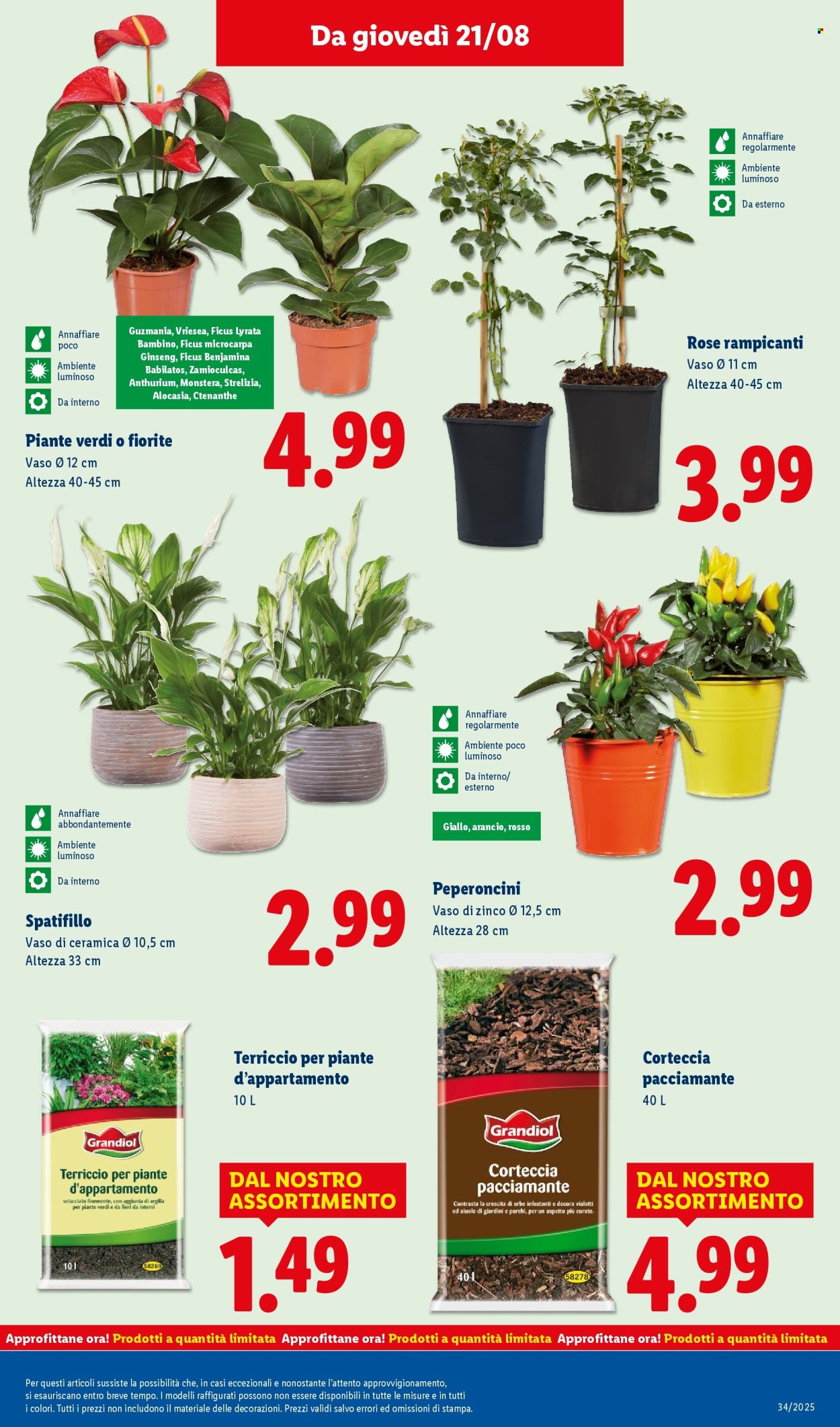 Volantino Lidl - 18/8/2025 - 24/8/2025. Pagina 37