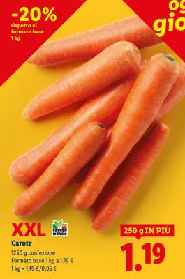 Carote XXL
