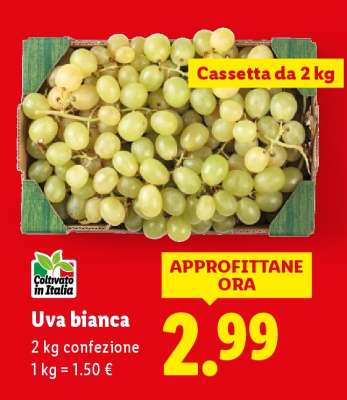 Uva Bianca