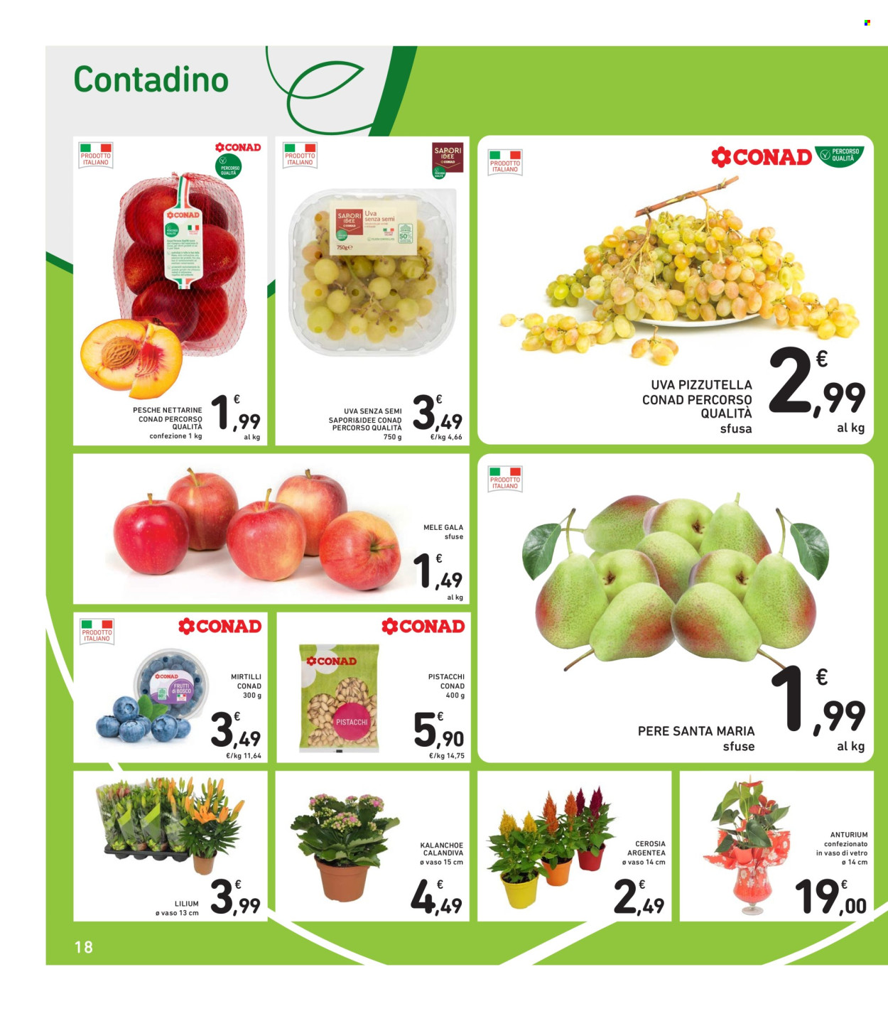 Volantino Spazio Conad - 22/8/2025 - 4/9/2025. Pagina 18