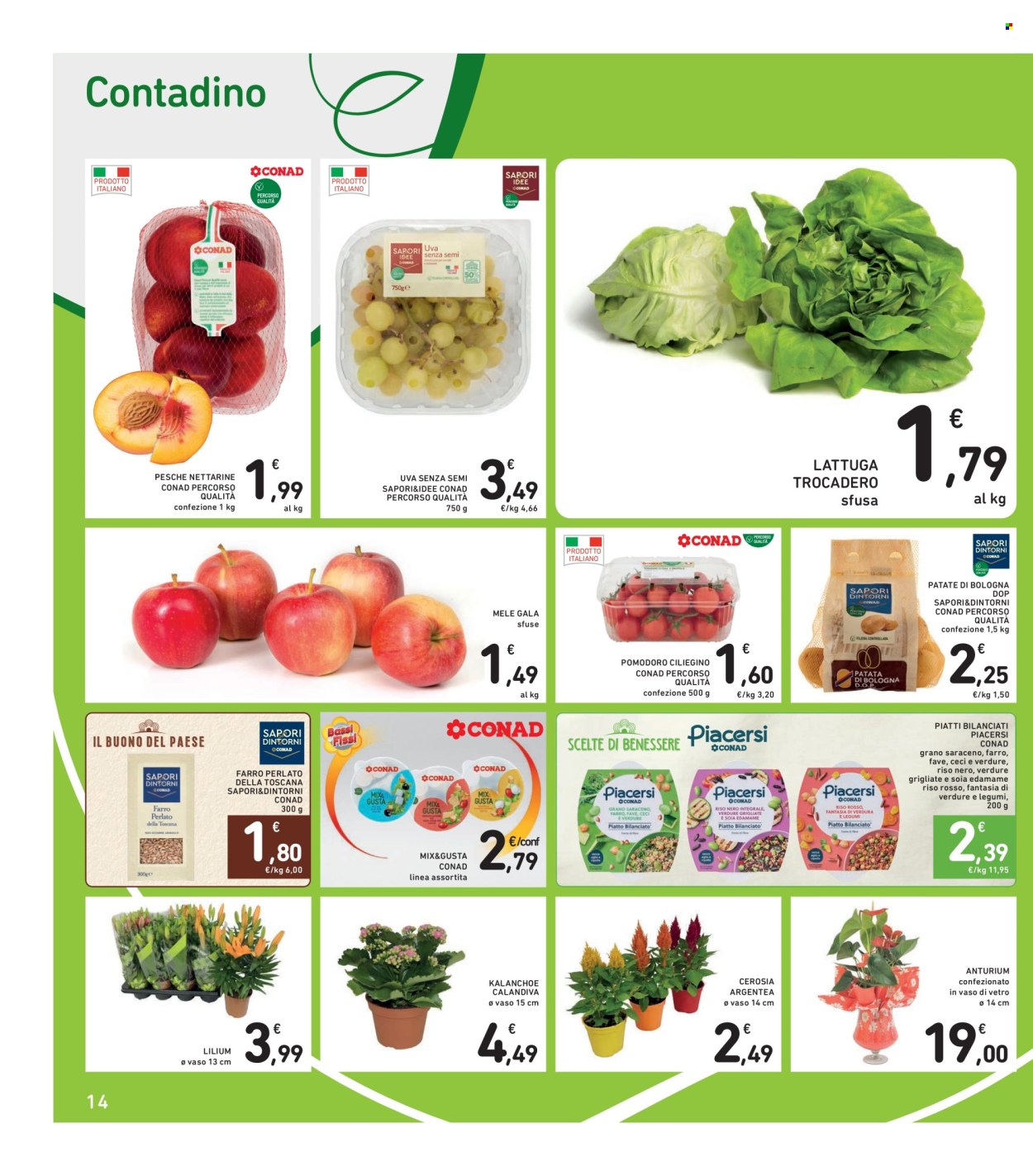 Volantino Spazio Conad - 22/8/2025 - 4/9/2025. Pagina 14