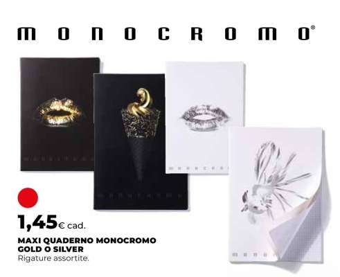 MAXI QUADERNO MONOCROMO GOLD O SILVER