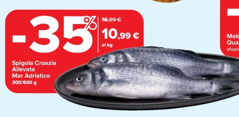 Spigola Croazia Allevata