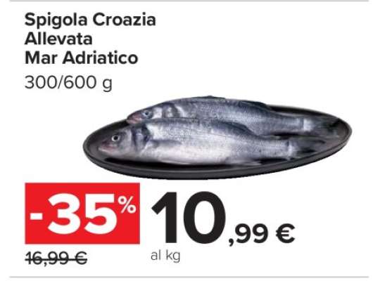 Spigola Croazia Allevata Mar Adriatico