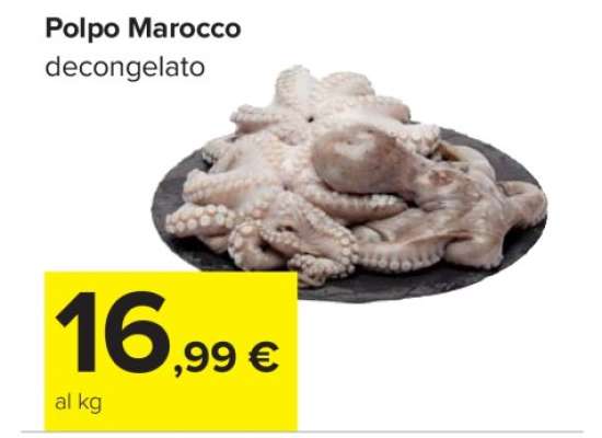 Polpo Marocco