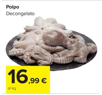 POLPO