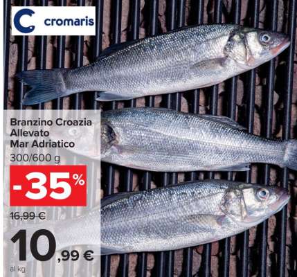 Branzino Croazia Allevato Mar Adriatico