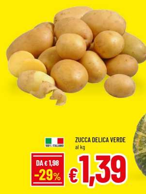 ZUCCA DELICA VERDE