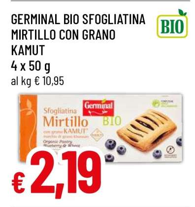 GERMINAL BIO SFOGLIATINA MIRTILLO CON GRANO KAMUT