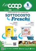 leaflet