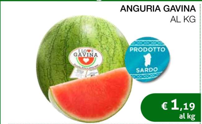 ANGURIA GAVINA