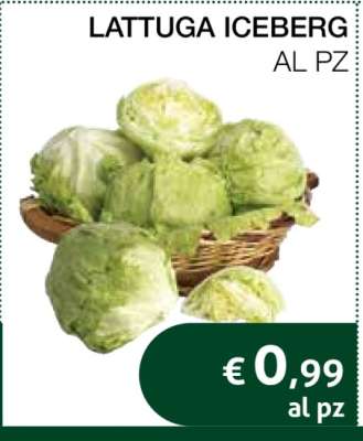 Lattuga Iceberg