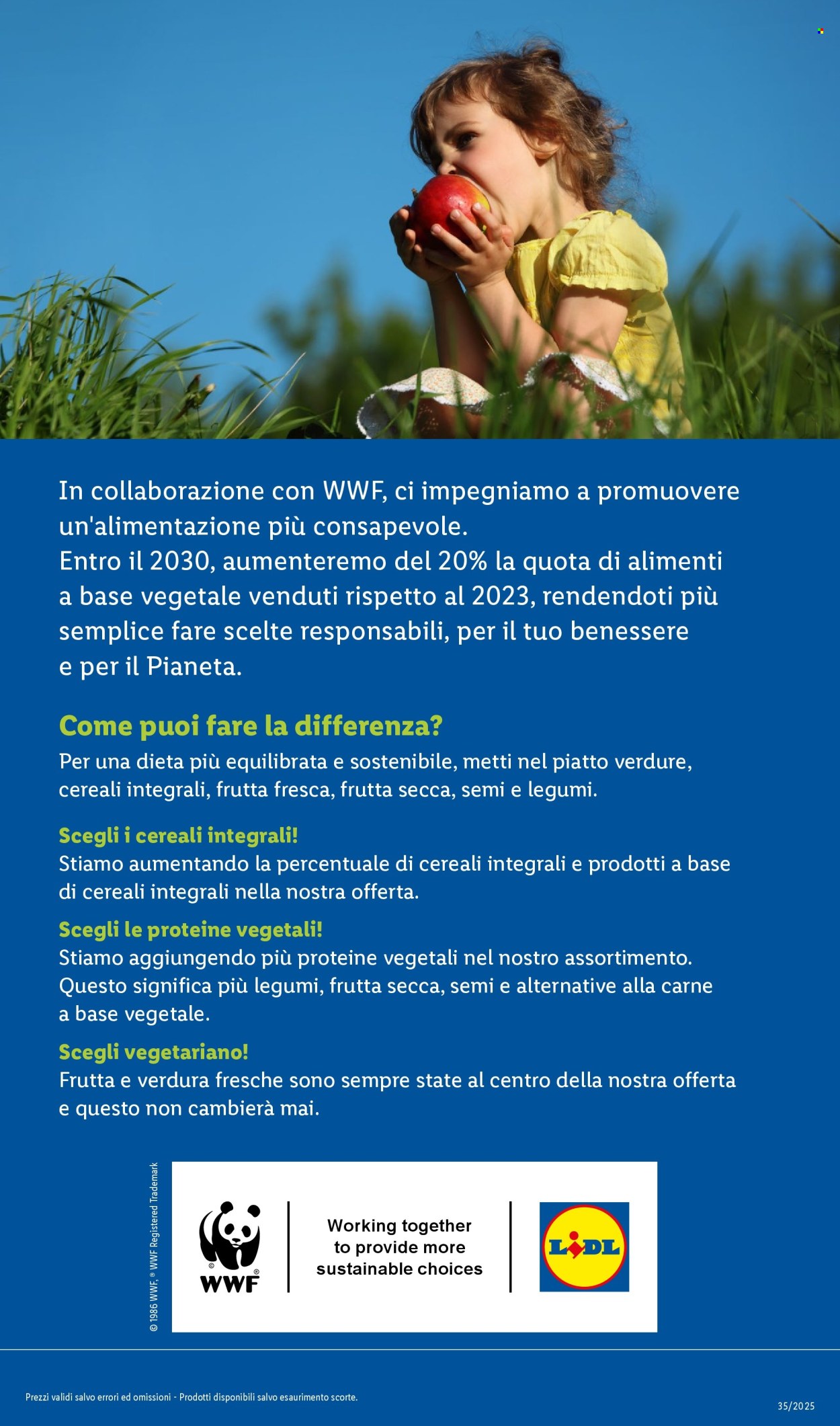 Volantino Lidl - 25/8/2025 - 31/8/2025. Pagina 29