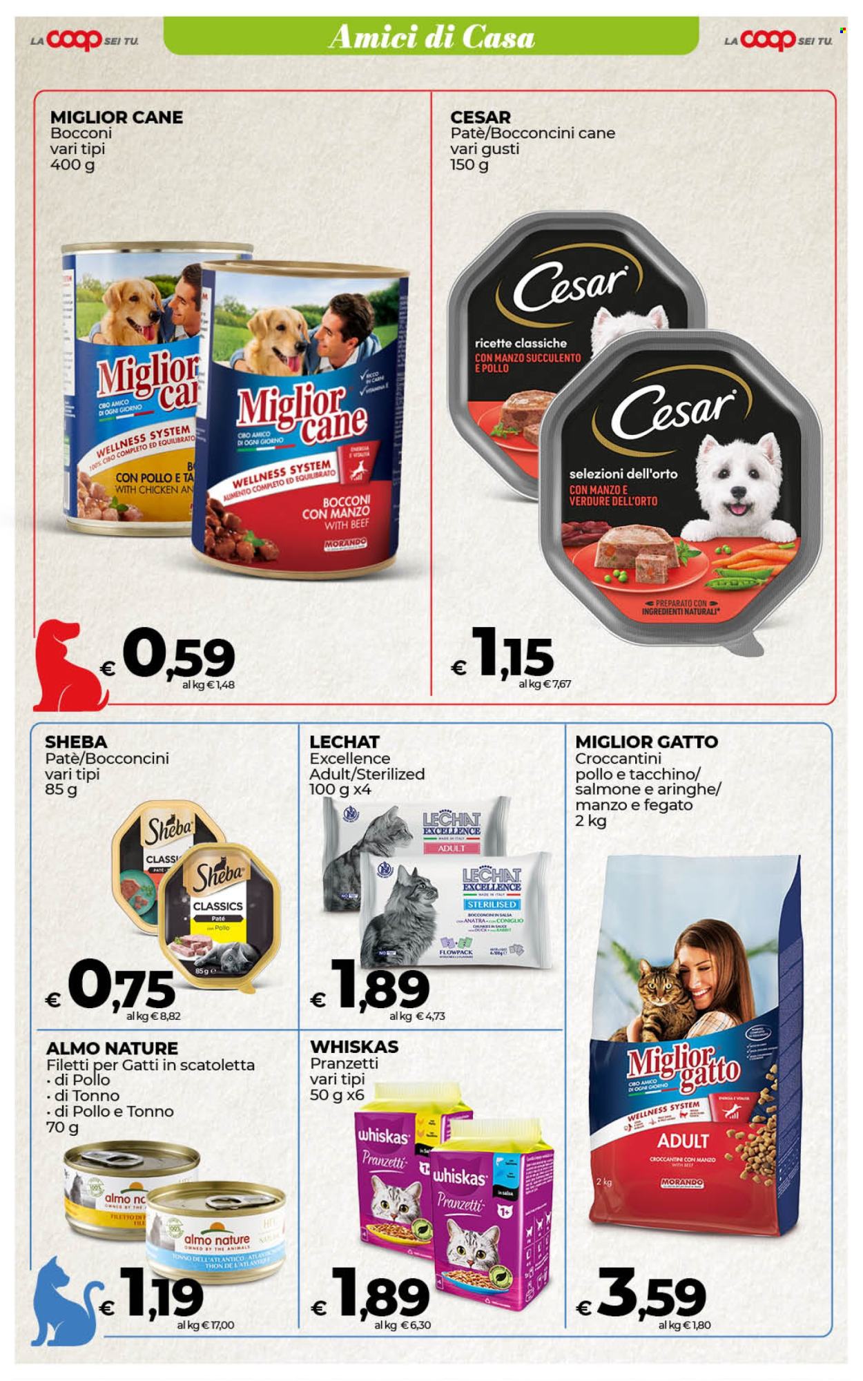 Volantino Coop - 22/8/2025 - 1/9/2025. Pagina 45