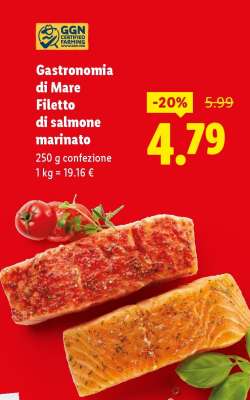 Gastronomia di Mare Filetto di salmone marinato