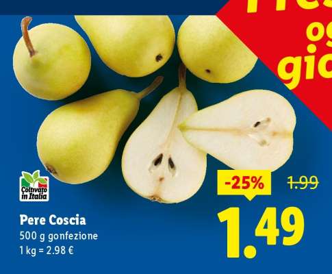 Pere Coscia