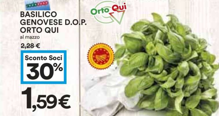 BASILICO GENOVESE D.O.P. ORTO QUI