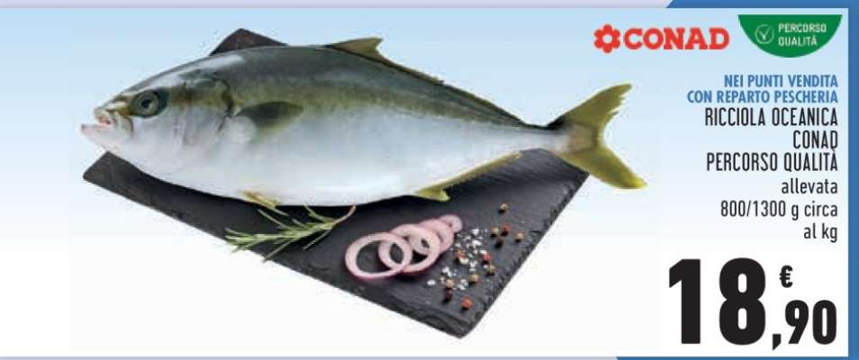 RICCIOLA OCEANICA CONAD PERCORSO QUALITÀ