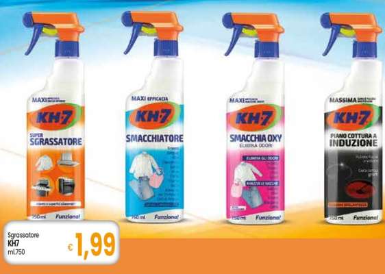 Sgrassatore KH7