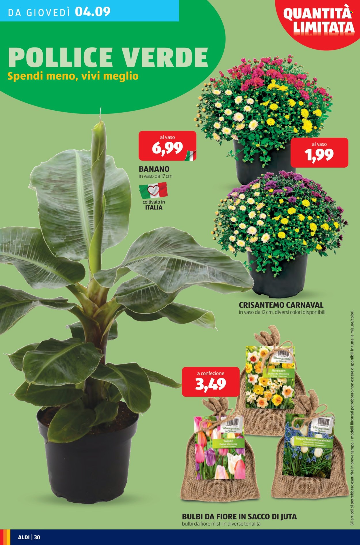 Volantino Aldi - 1/9/2025 - 7/9/2025. Pagina 30