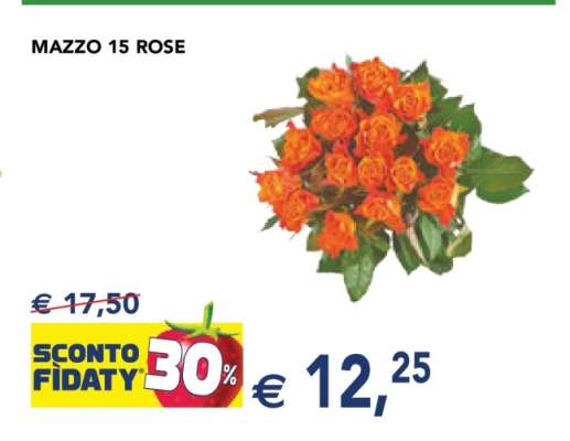 MAZZO 15 ROSE