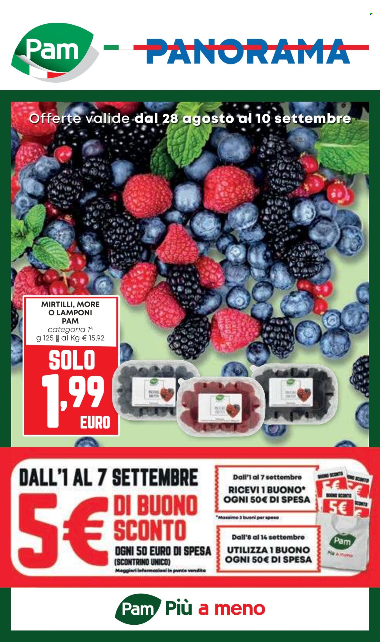 Volantino Pam Panorama - 28/8/2025 - 10/9/2025. Pagina 1